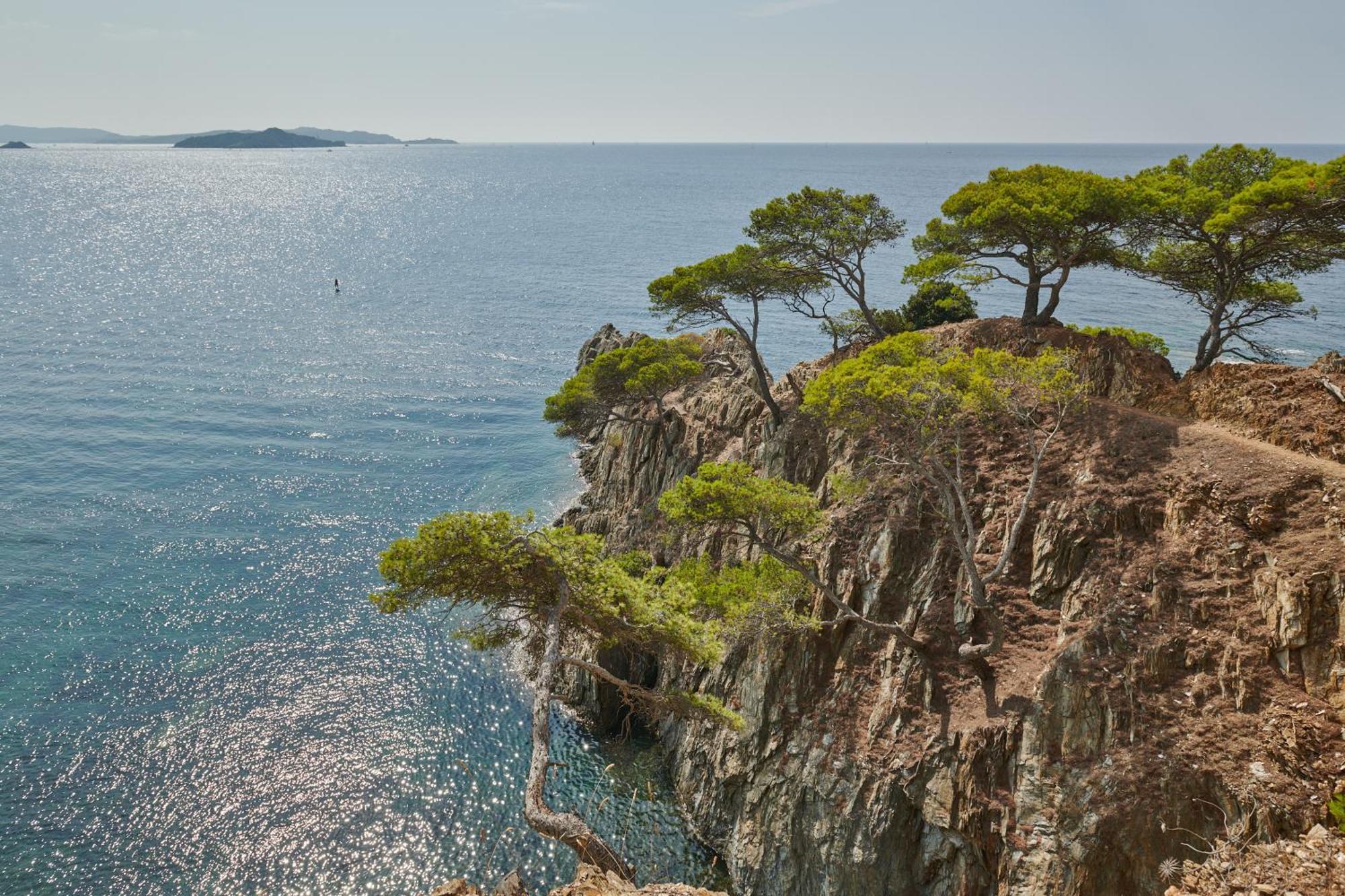 Lilause Hyeres