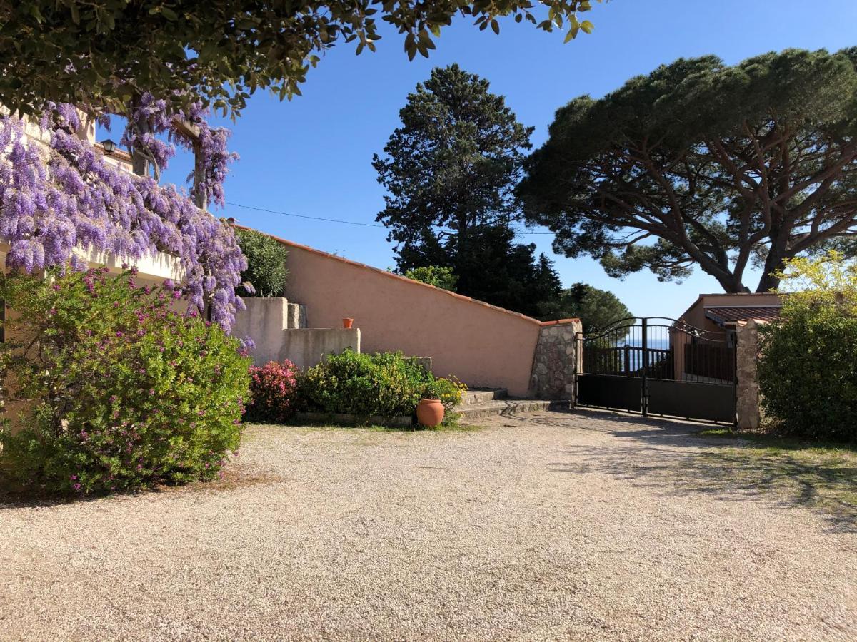 Lilause * Hyères
